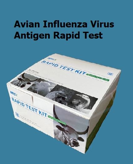 Aivan gripas vīrusa antigēnu ātrais tests